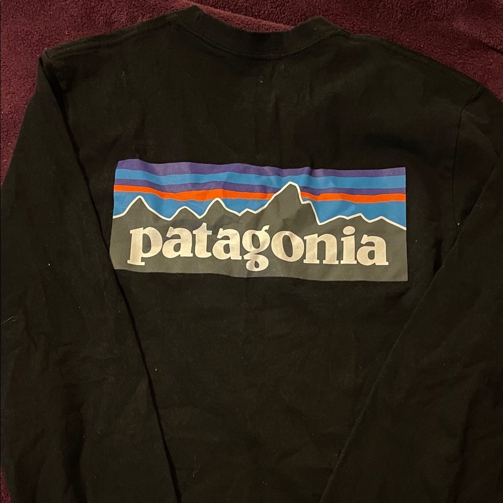 Patagonia Black Shirt with Colorful Mountain Design